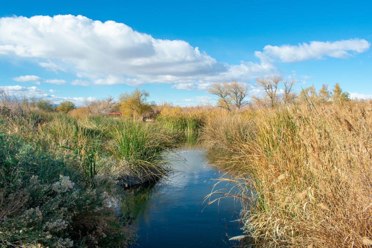 Natural Infrastructure